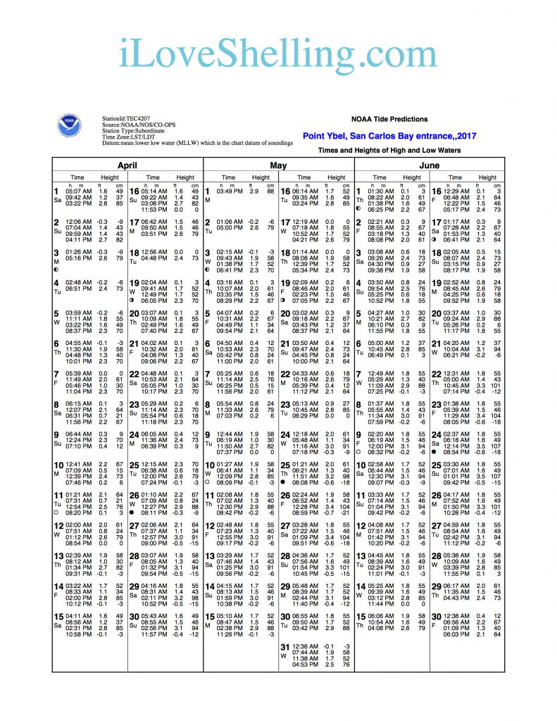 Tides I Love Shelling