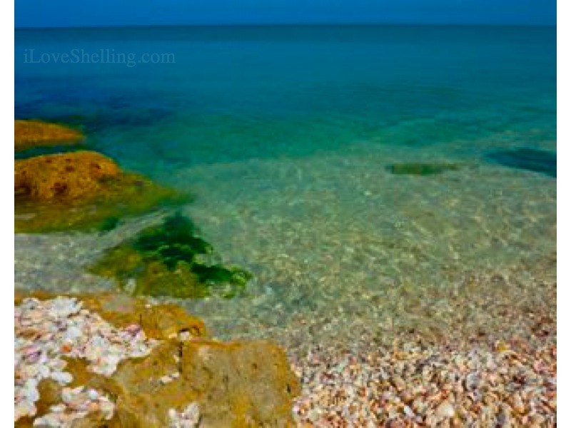 clear water captiva watermark.001 clear water captiva watermark.001 I