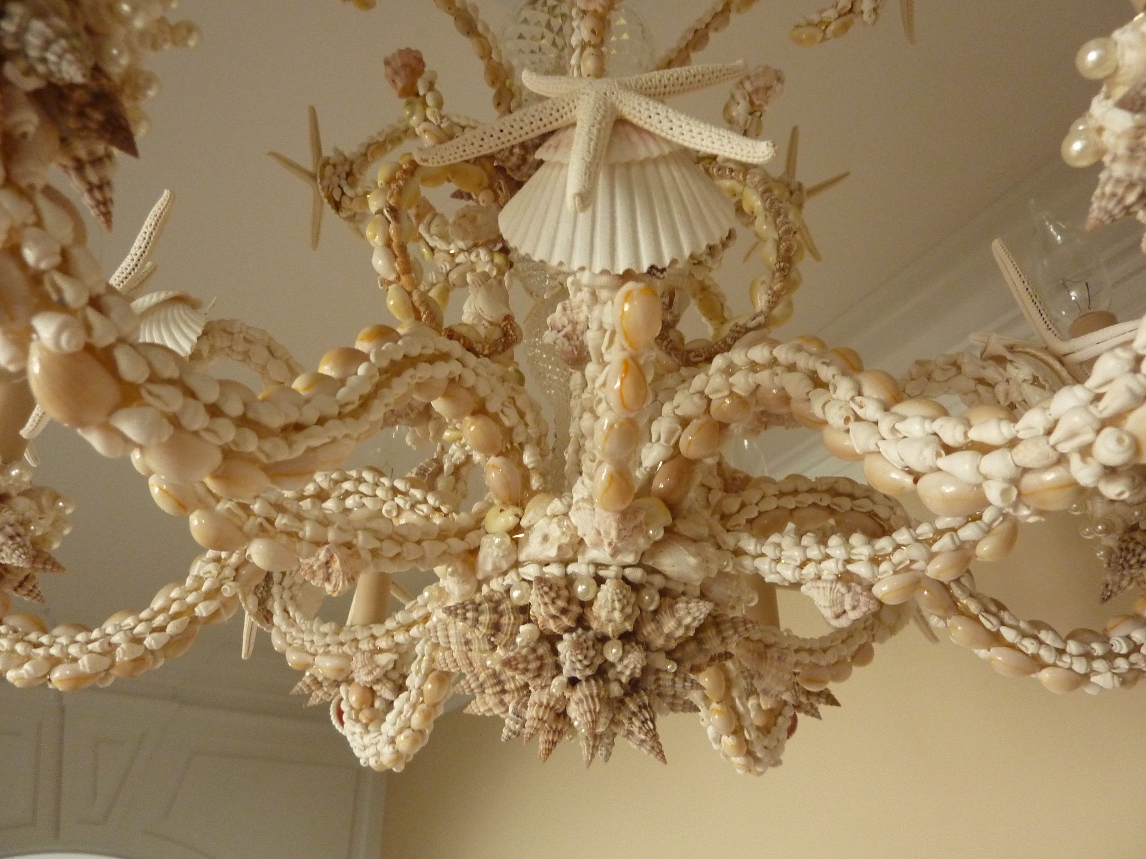Sarah's Seashell Chandelier I Love Shelling