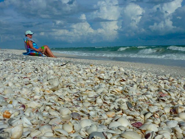 Relaxing among seashells on the beach combing with blue skies and sunshine