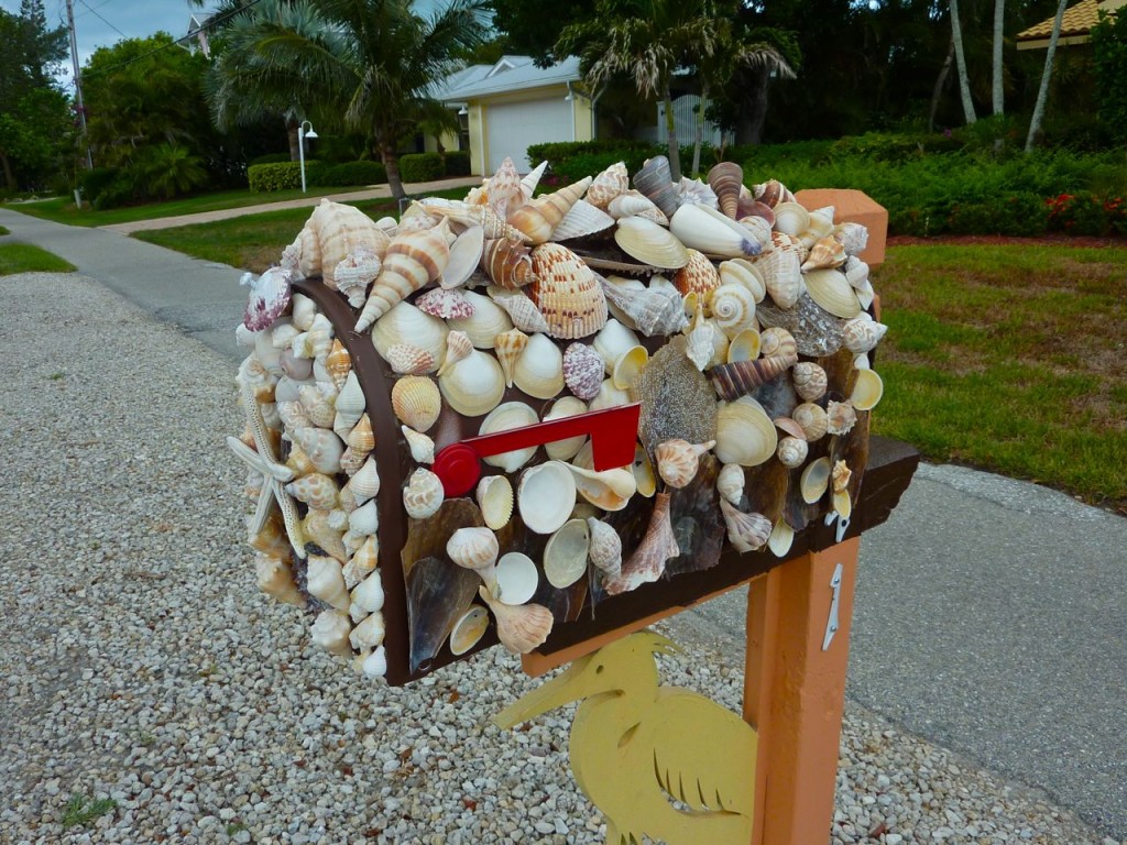 Seashell Mailboxes I Love Shelling
