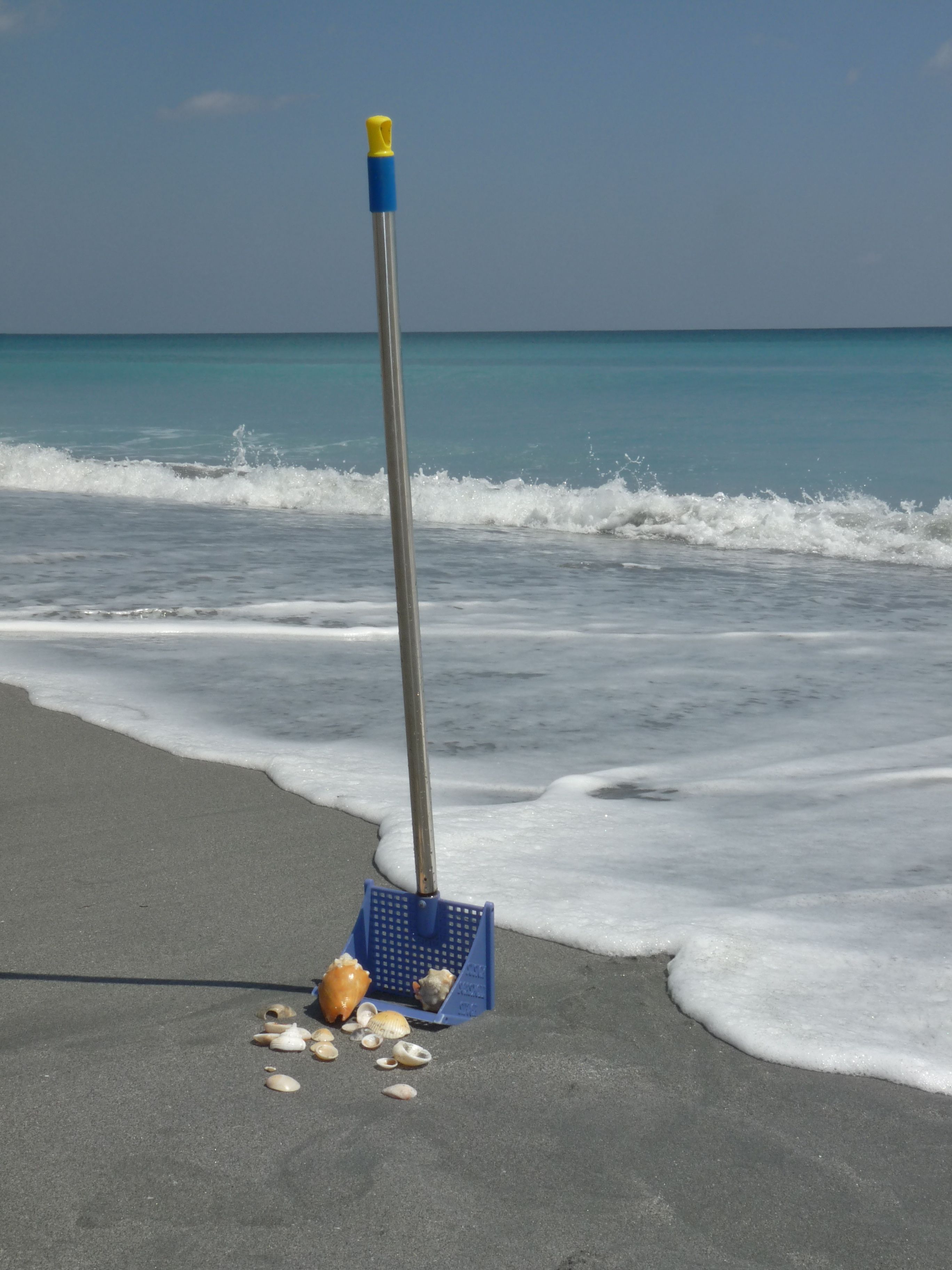 Seashell Sifter GiveAway! I Love Shelling
