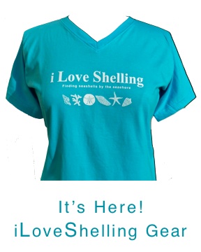 iLS-gear | I Love Shelling