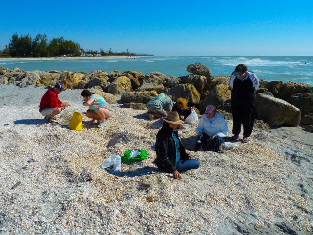 This Conch’s For You | I Love Shelling