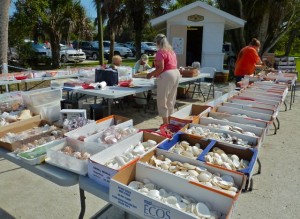 Sanibel Shell Fair Setup