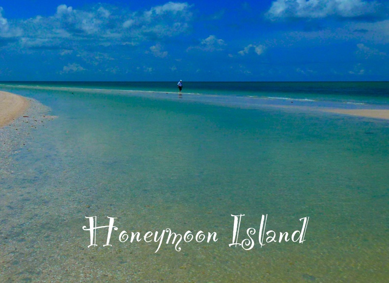 Road Trip To Honeymoon Island Florida – Part 1