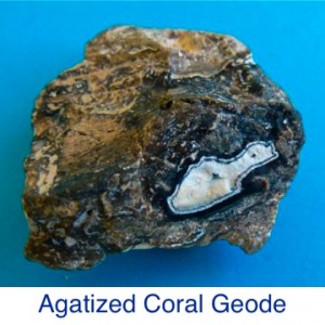 Agatized Coral Geode