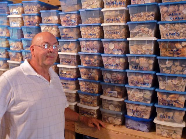 Boxes and Boxes of Sanibel Seashells