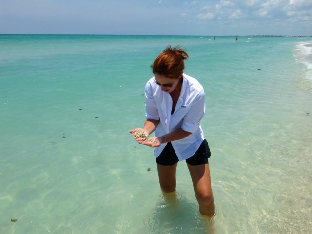Collecting Fossils, Seashells and Memories on Boca Grande