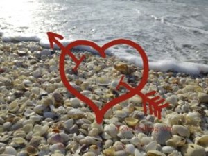 i Heart Shelling in February | I Love Shelling