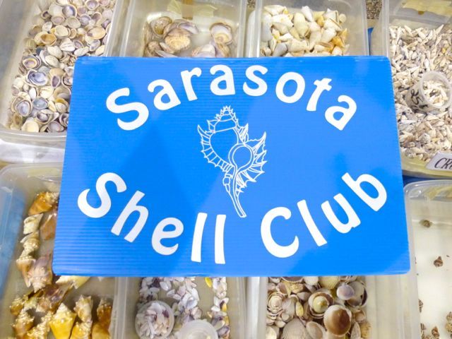 2013 50th Annual Sarasota Shell Show