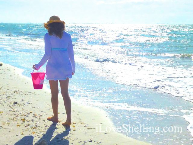 Every Day Is A Gift | I Love Shelling
