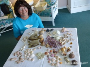 pat shells shellabaloo shellinger hunt