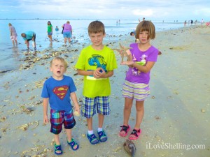 Tropical Storm Andrea Brings Seashells To Sanibel! | I Love Shelling