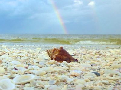 conch double rainbow sanibel island florida