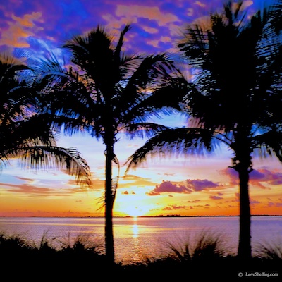 Sunsets Of Sanibel Island | I Love Shelling