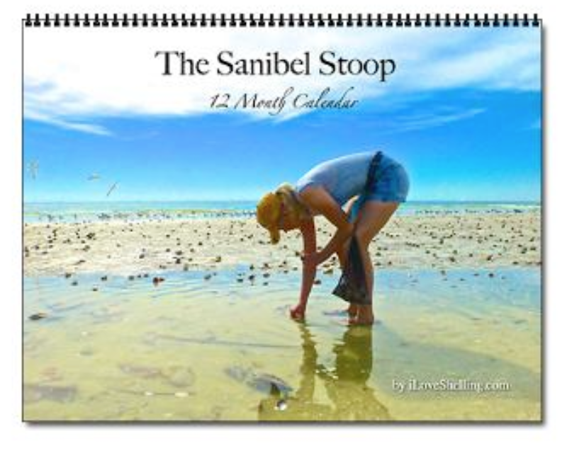 The Sanibel Stoop Calendar Is Here! I Love Shelling