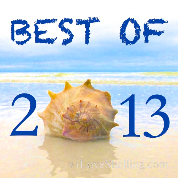 2016 Best Of i Love Shelling | I Love Shelling