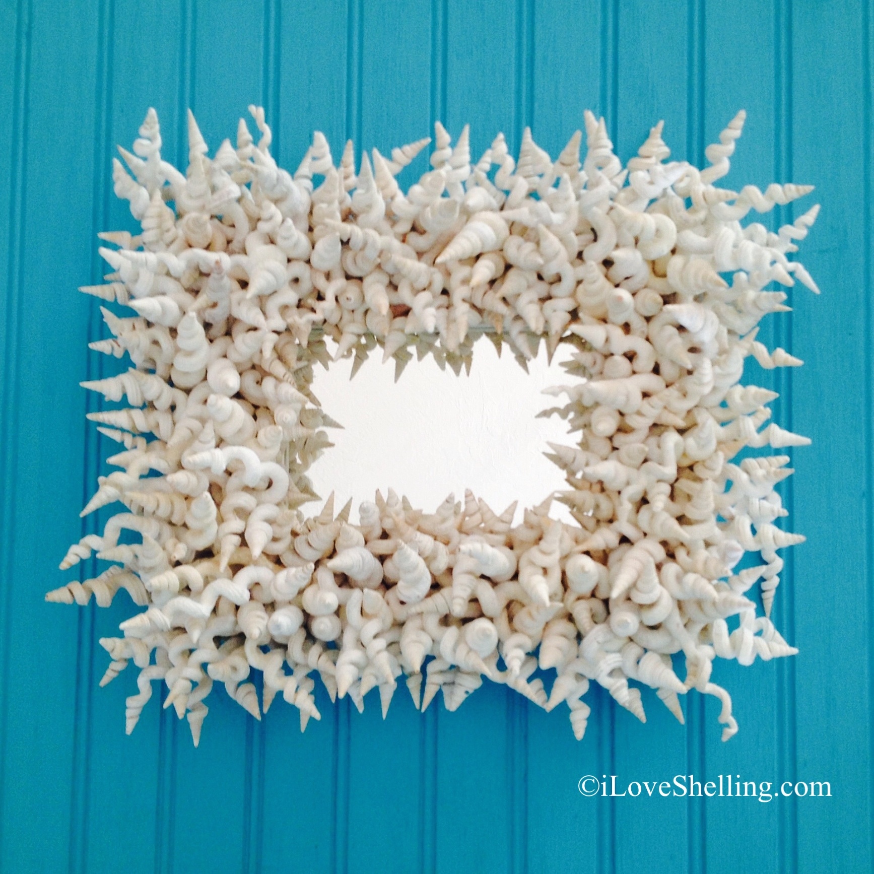 Whimsical World Of Worm Shells