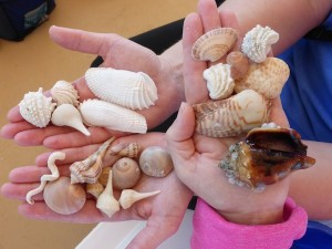 rachel and sherry display their shells from our cruise