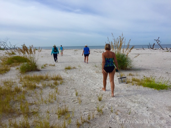 Successful Beach Combing Trip to Big Hickory Island