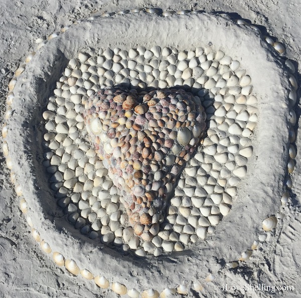 Calm Quiet Beach Combing With Sandy The Shellman | I Love Shelling