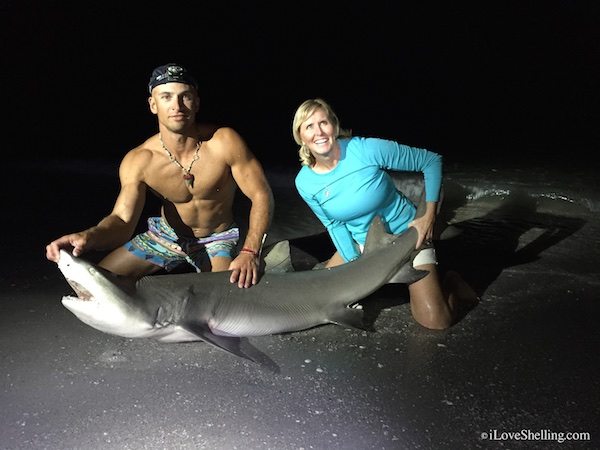 Catching A Sanibel Shark With The Shark Wrestler
