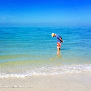 cool calm and collecting