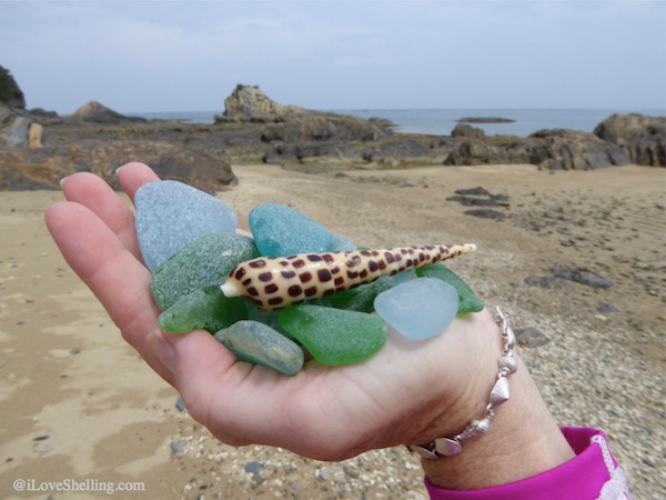 Our Exshellent Beach Combing Adventure in Okinawa Japan