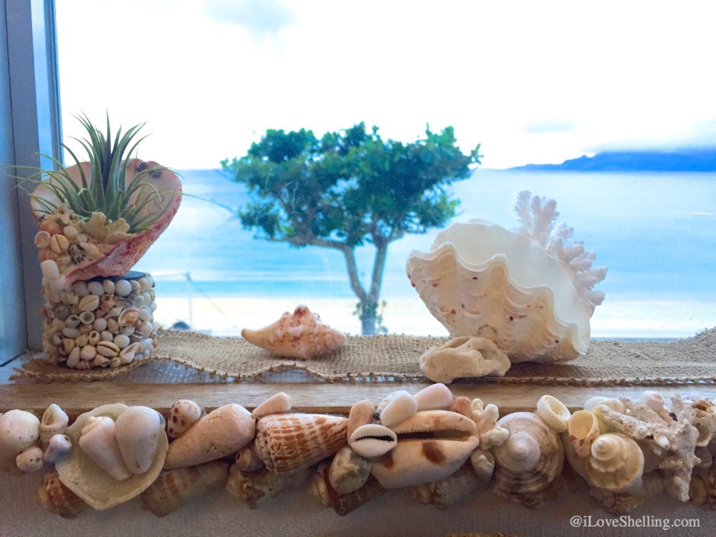 Island Cafe Marine Bar seashells Okinawa Japan