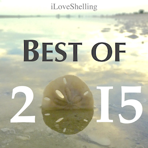 2016 Best Of i Love Shelling | I Love Shelling