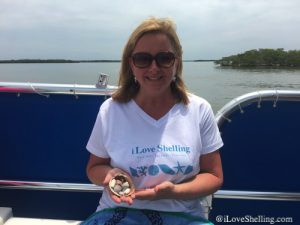 i Love Shelling Cruise to Mystery Rocks | I Love Shelling