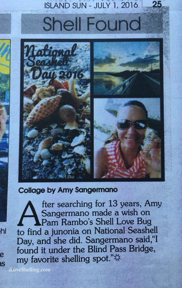 Week Long Sunshine State of Mind | I Love Shelling