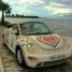 Sanibel Shelling and Shell Love Bug | I Love Shelling
