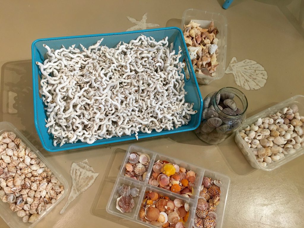 Sanibel Shelling and Shell Love Bug | I Love Shelling