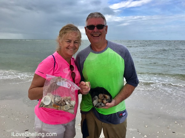 Warm, Colorful Shells on A Sunny Beach | I Love Shelling