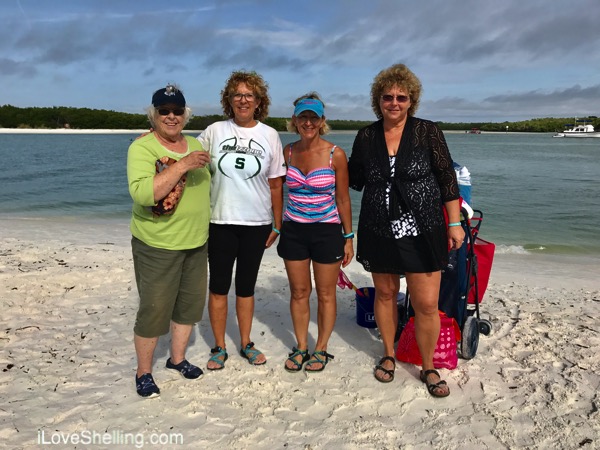 Warm, Colorful Shells on A Sunny Beach | I Love Shelling