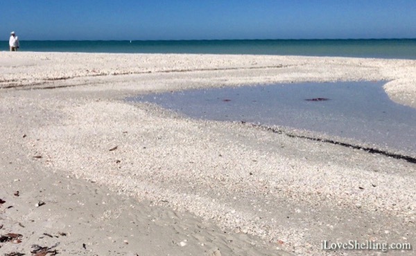 Boating to a Seashell Sandbar