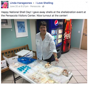 Sharing The Shellove on Shell Day | I Love Shelling