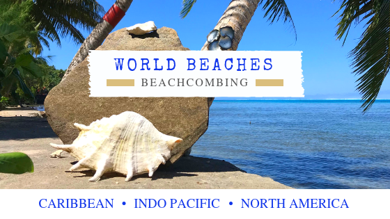 World Beachcombing Destinations