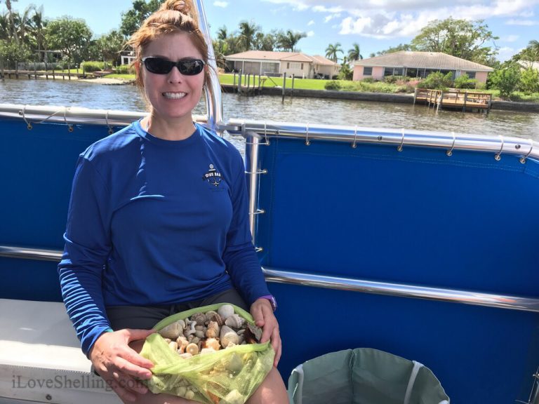 Shelltastic Shell Trip | I Love Shelling