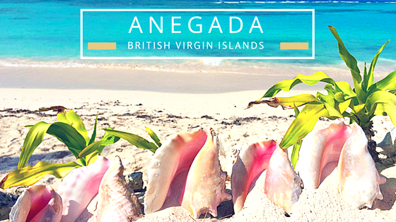 Anegada BVIs virgin islands beachcombing seashells