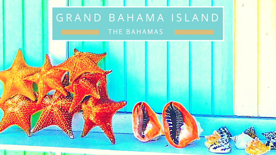 Grand Bahama Island seashells beach combing