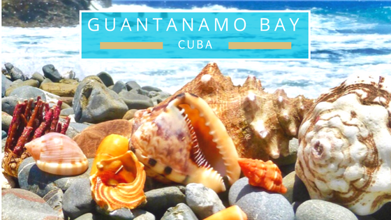 Guantanamo Bay Cuba seashells beach comb