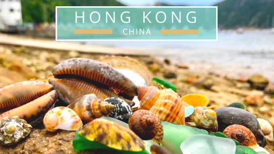 Hong Kong seashells beach combing