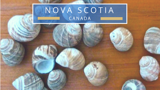 Nova Scotia canada beach combing