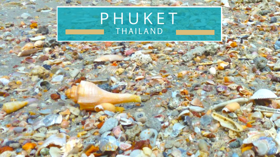Phuket Thailand seashells beach combing