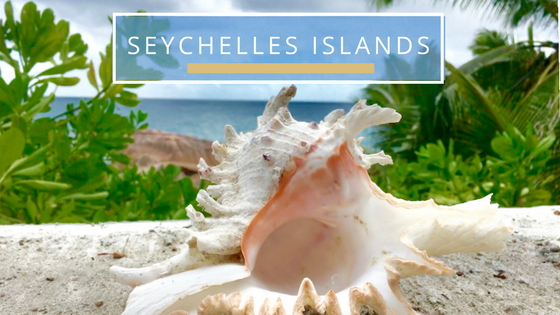 Seychelles islands seashells beach combing