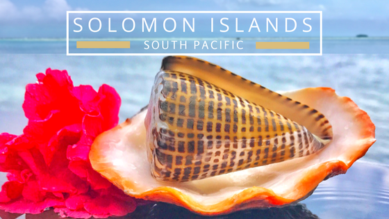 Solomon Islands beachcombing destination to find seashell paradise