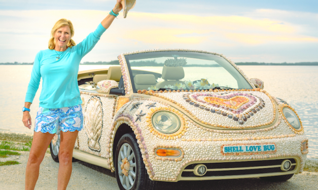 Shell Love Bug has been Freed